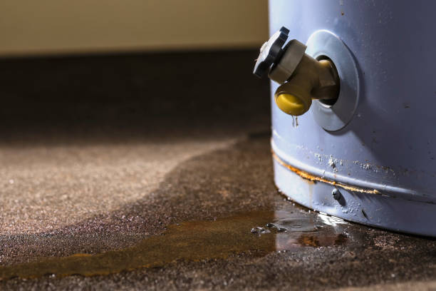 Best Water damage restoration near me  in Ravenna, NE