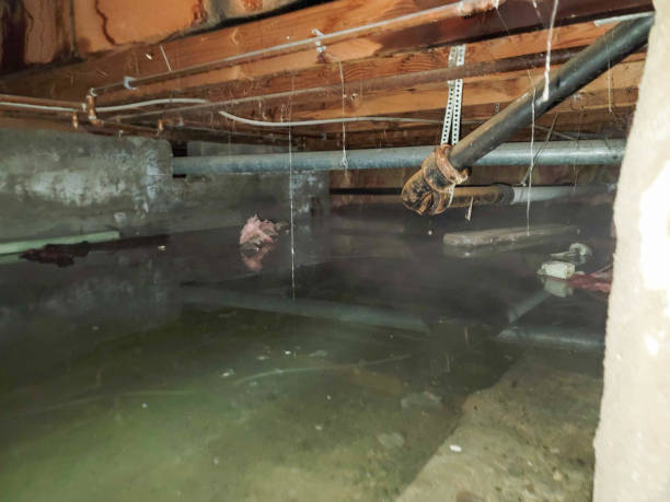 Best Emergency water extraction  in Ravenna, NE