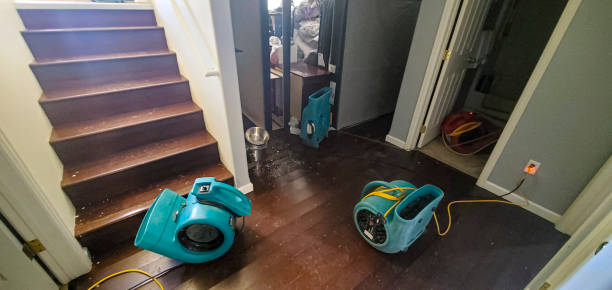 Best Professional water damage repair  in Ravenna, NE