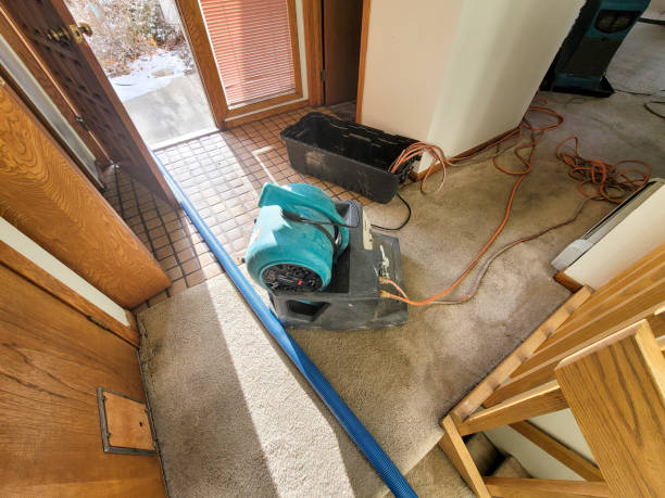 Best 24/7 water damage repair  in Ravenna, NE