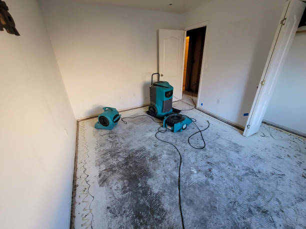 Best Residential water damage restoration  in Ravenna, NE