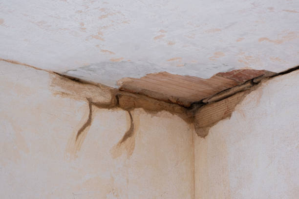 Ravenna, NE Water damage restoration Company