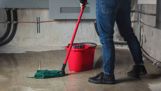 Best Flooded house restoration  in Ravenna, NE