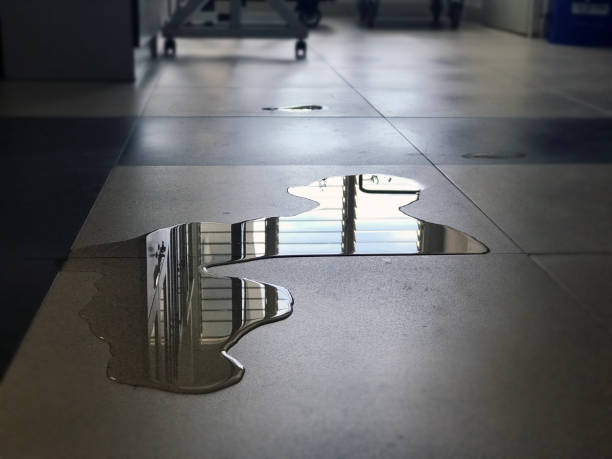 Best Water damage contractors near me  in Ravenna, NE
