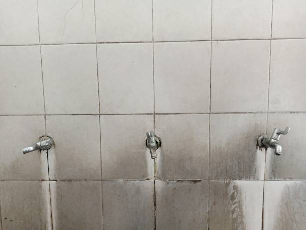 Best Water damage restoration near me  in Ravenna, NE