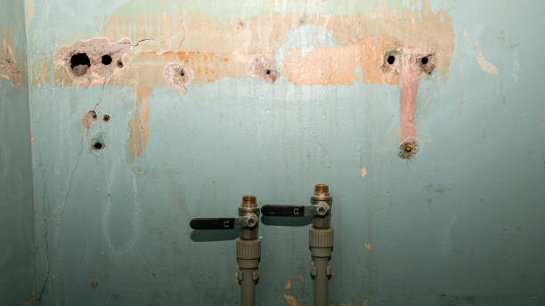 Best Water damage restoration near me  in Ravenna, NE