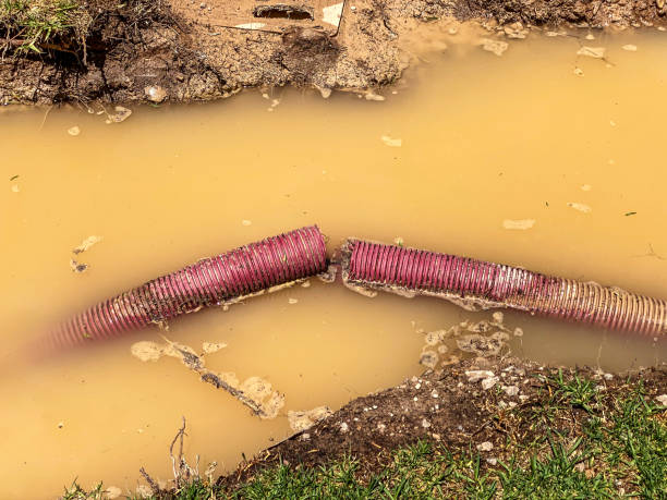 Best Water damage cleanup near me  in Ravenna, NE