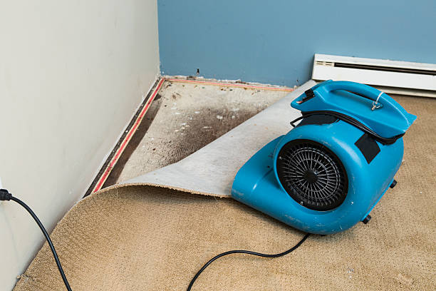 Best Emergency water damage restoration  in Ravenna, NE